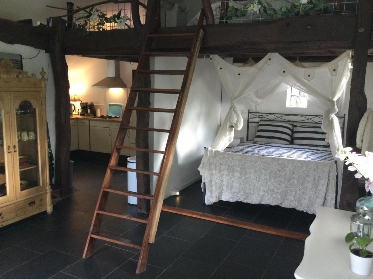 Landelijk Gelegen Huisje Op Erf Veeningen Exteriér fotografie