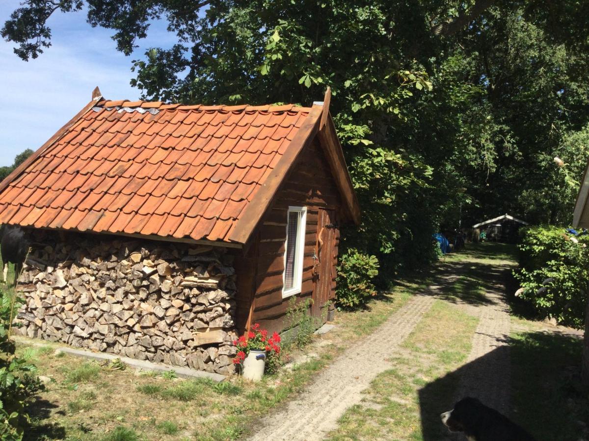 Landelijk Gelegen Huisje Op Erf Veeningen Exteriér fotografie