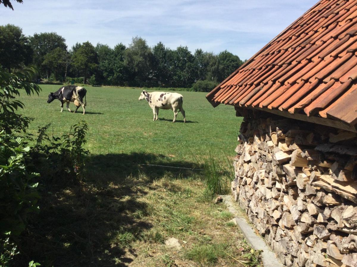 Landelijk Gelegen Huisje Op Erf Veeningen Exteriér fotografie