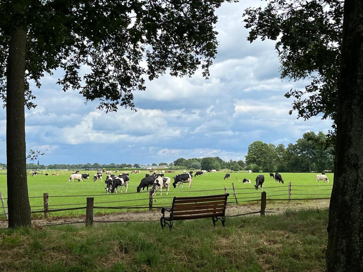 Landelijk Gelegen Huisje Op Erf Veeningen Exteriér fotografie